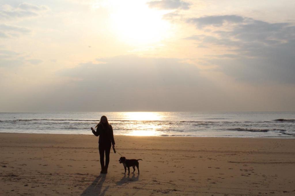 Bungalow Strandparel room 6